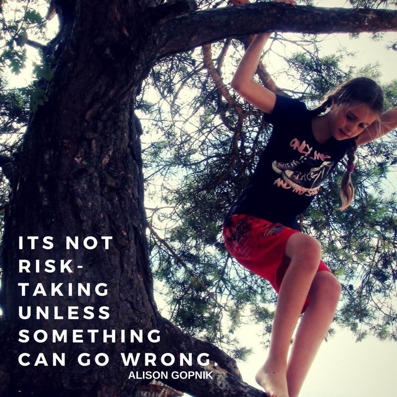 Its not risk-taking unless something can go wrong. - Alison Gopnik